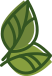 hoja hoja